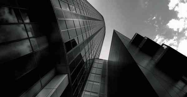 外国语单招大数据的行业文章