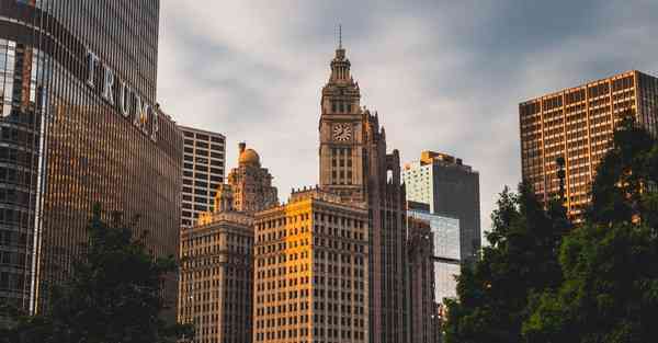 外国语单招大数据的行业文章