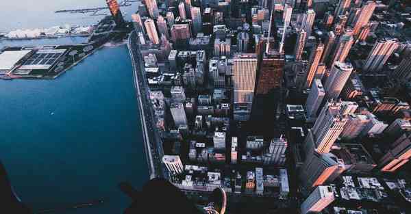 外国语单招大数据的行业文章