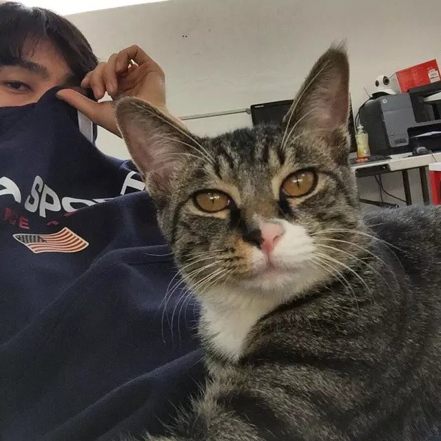 蒲炎妮胜