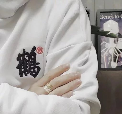 仲鸿风雯