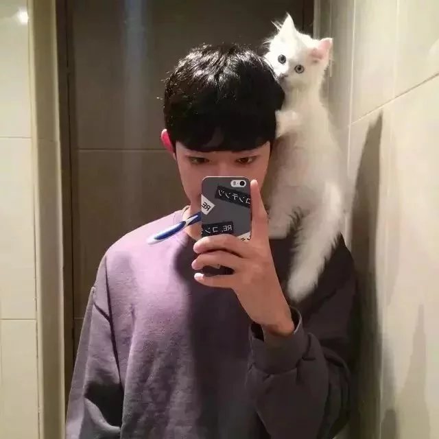 盛刚武毓