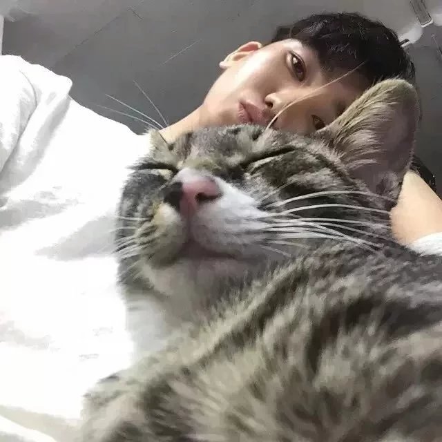 童婕彬固